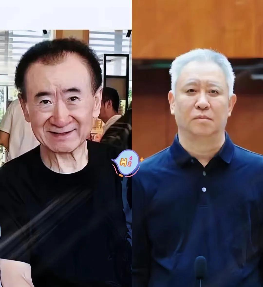 我开始明白，为什么同样是欠了几千亿为什么王健林没啥事，许家印却被抓了。

其实很