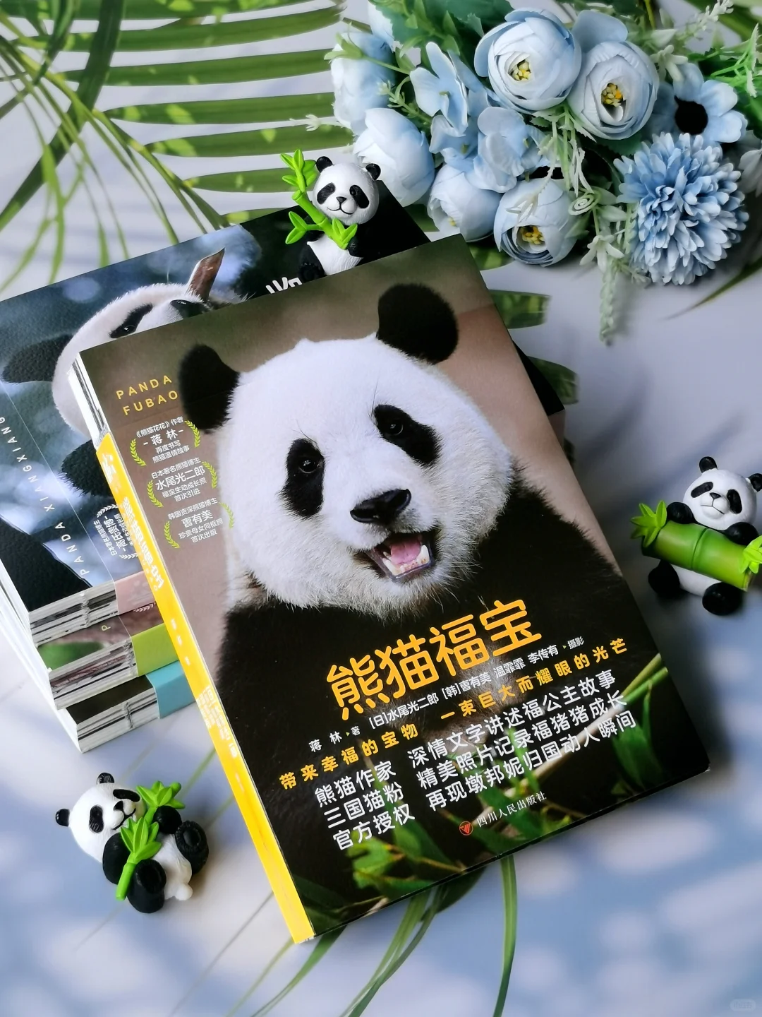 今天闪亮登场的是谁啊？是可爱的福宝！