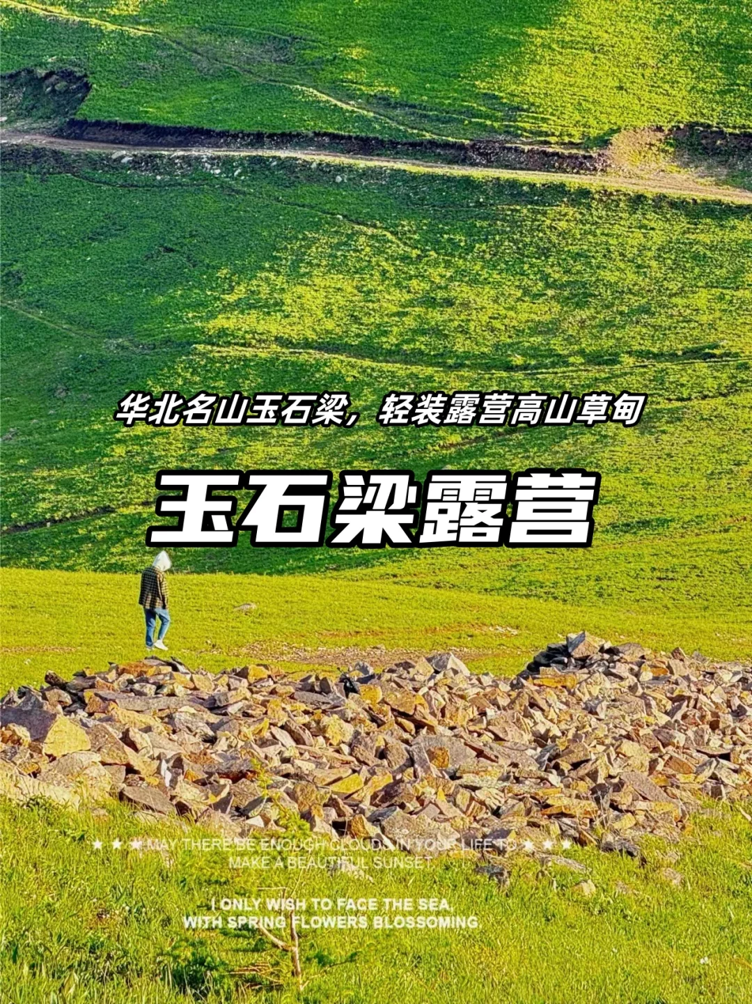 玉石梁金莲花开，徒步露营好去处！