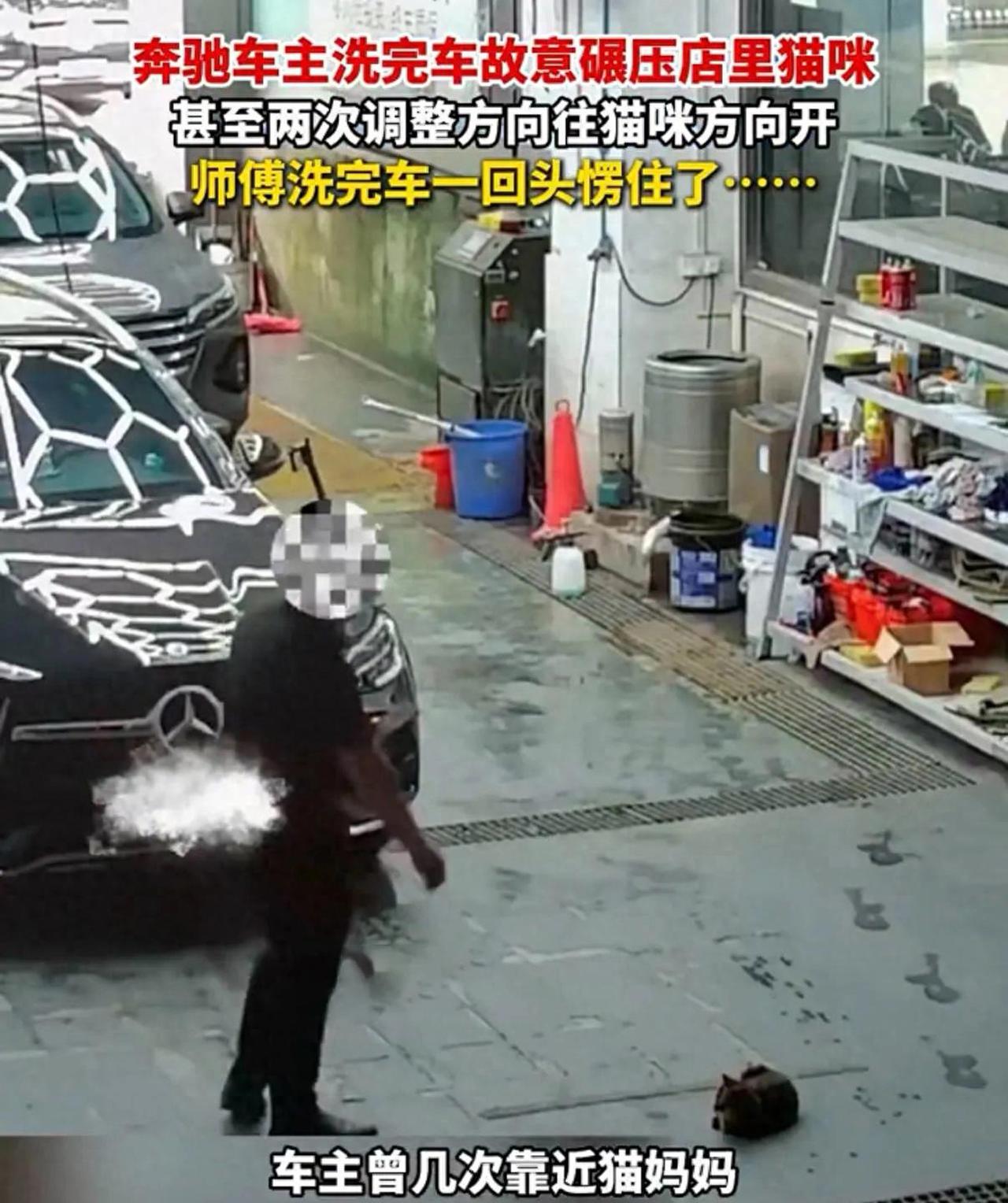 【奔驰车主两次调整方向碾压哺乳期母猫！周兆成：已触碰法律红线！ 】
 
大家好，