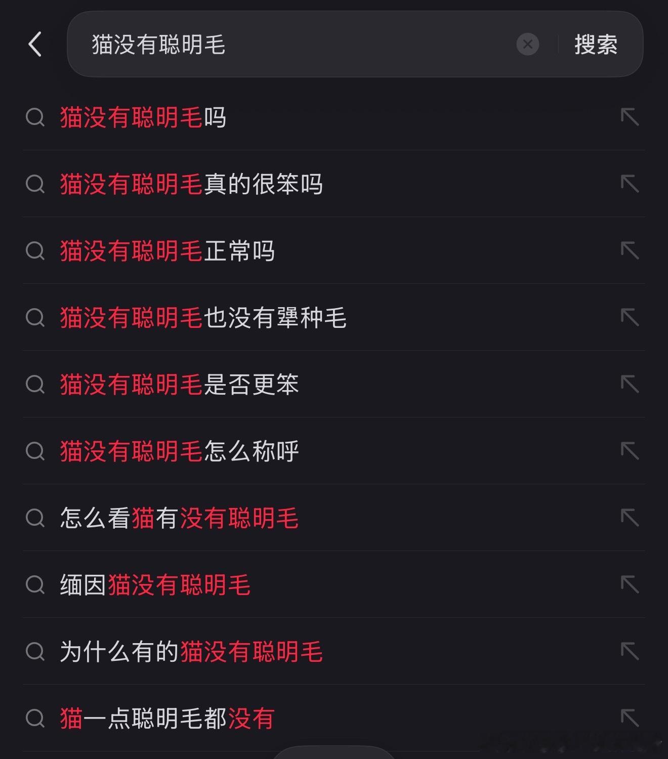 如果丽酱真是小猫的话那肯定一根儿聪明毛都没有，全是犟种毛！被哥哥抱出去散步的时候