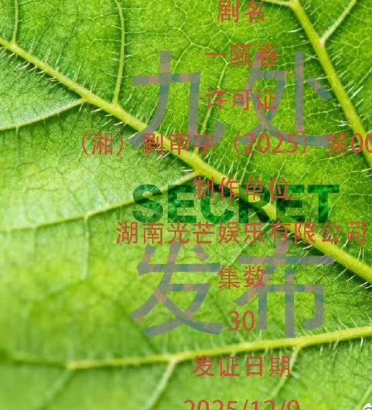 许凯 周也 主演的《一瓯春》过审了 ，真的期待了！ 