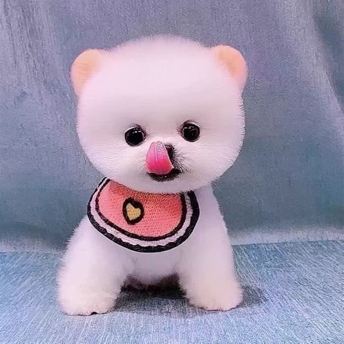 分享图片 