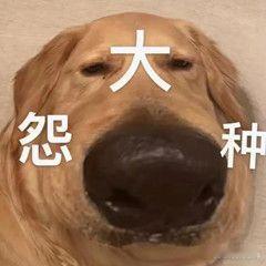 每天睡醒睁眼一开就是4000+下跌，对于这种调整行情新股民不要慌，睡睡就过去了 