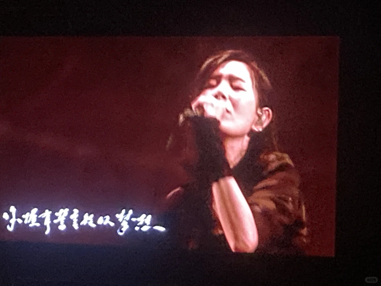 厦门时寐｜关于我爱你🫶🏻