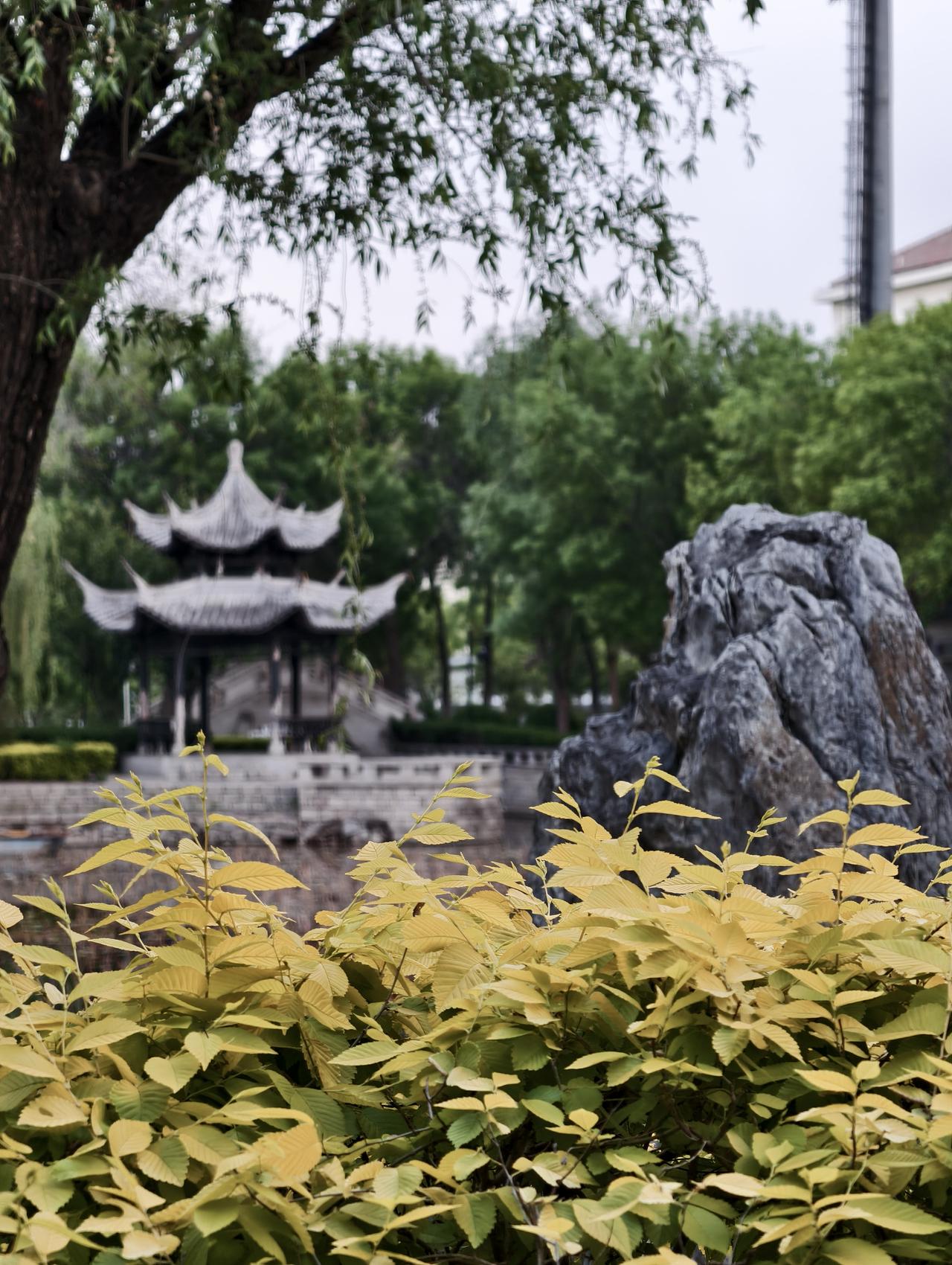 长虹公园一角，凉亭、石雕、构成美丽风景！