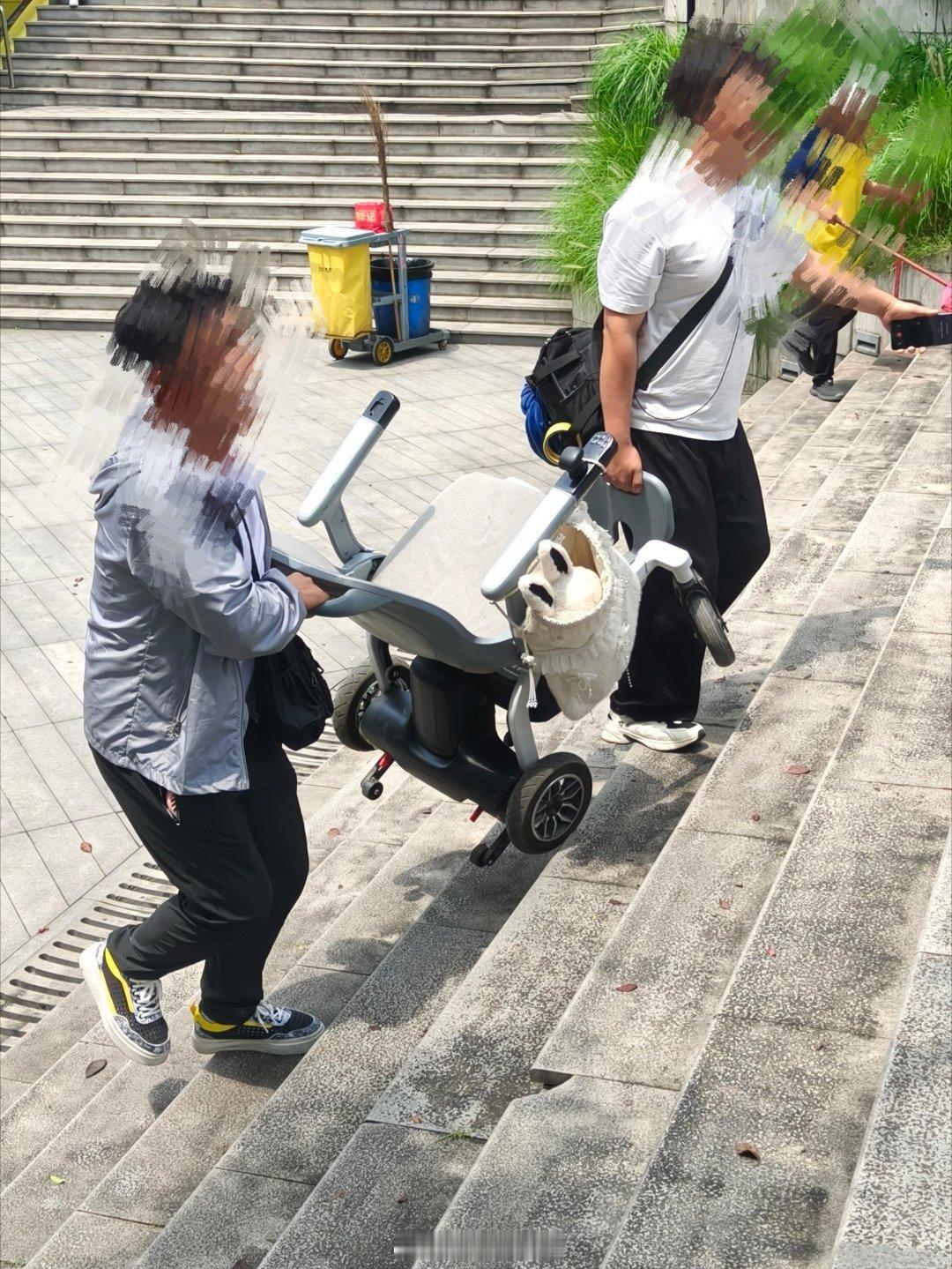 我哭了我只看见了白幼薇的轮椅和兔子 
