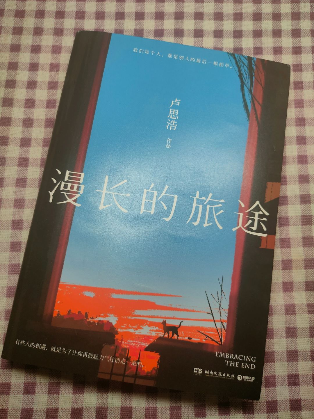 漫长旅途，在人生的岔路口