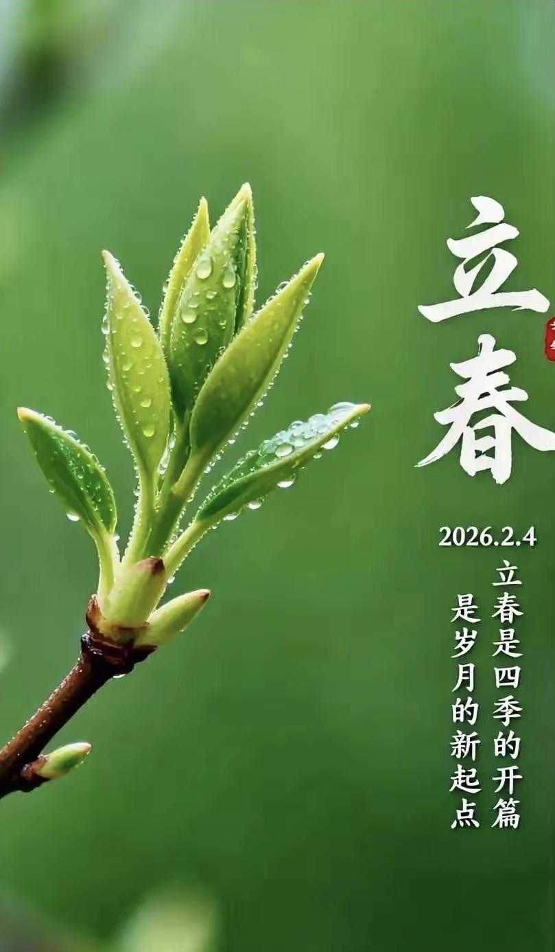 立春情思
2026年02月04日

让我陪春天一起长大
就从立春这天快乐出发
从