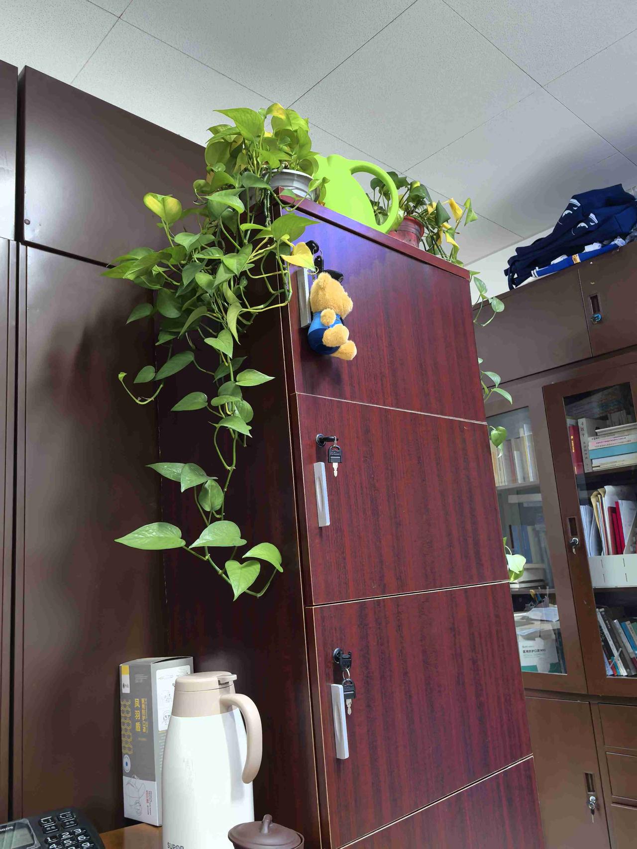 我的今日状态：😁轻松愉快
我这里的天气：☀️晴天