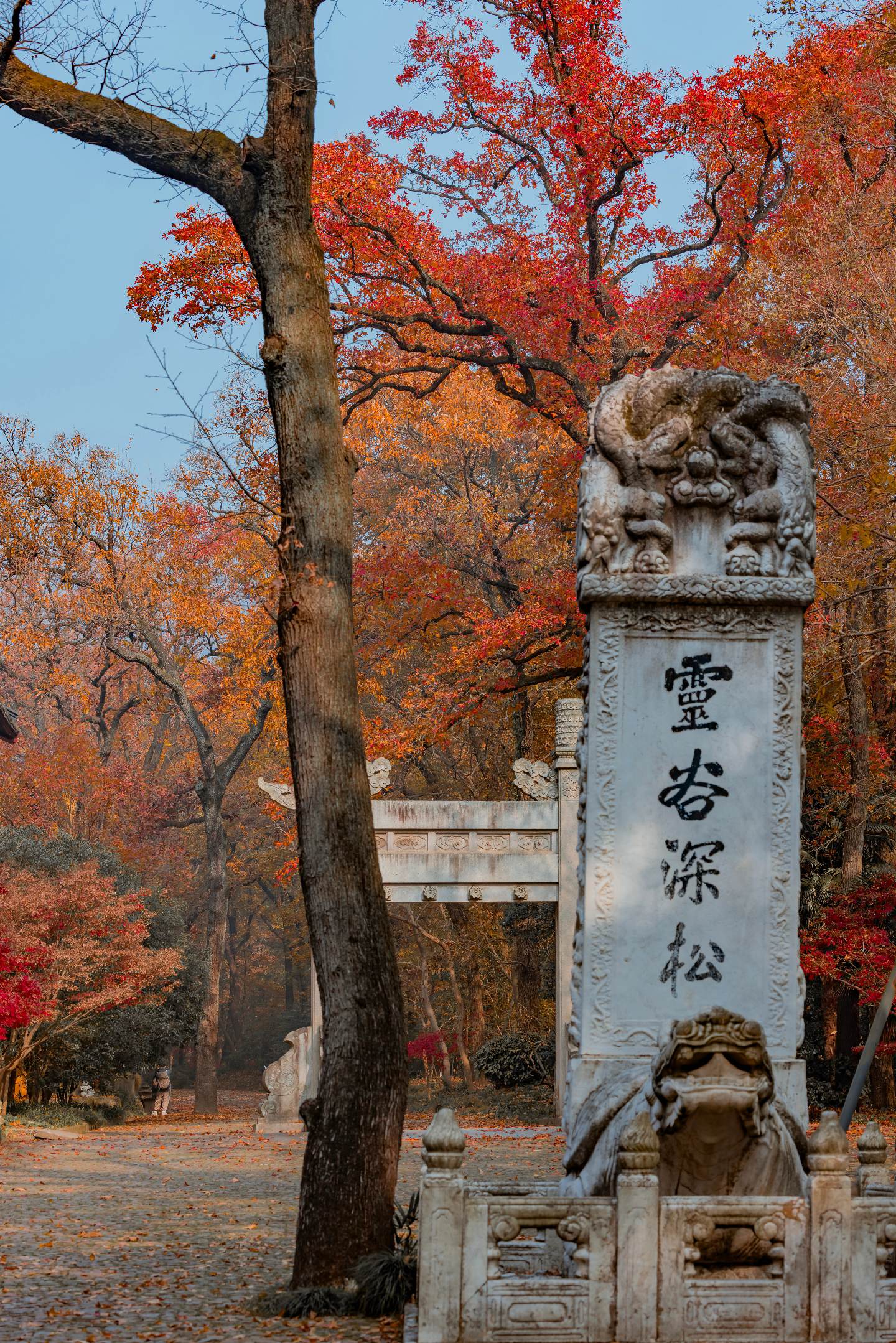 先出发再说 没想到南京灵谷寺的深秋这么美。南京深秋的限定浪漫，当然要去...