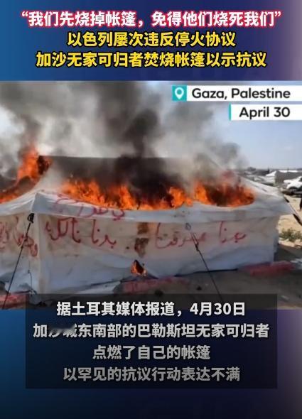 加沙难民亲手烧帐篷，嘶吼着“我们先把帐篷烧了，省得他们过来把我们一起烧死！” 这