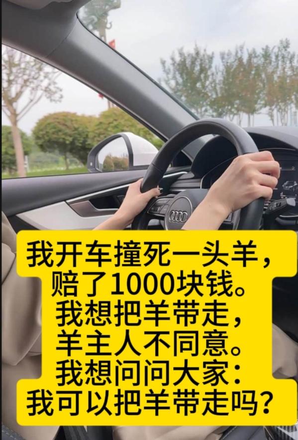 女子开车撞死了一头羊，赔了1000块钱。女子想把羊带走，羊主人却坚决不同意。

