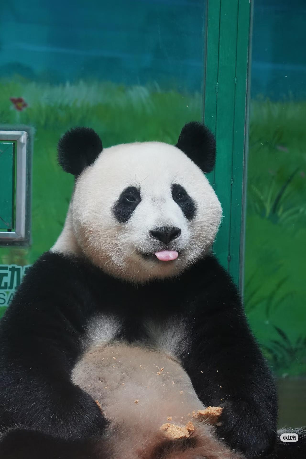 妹猪仔好得意喔😏 