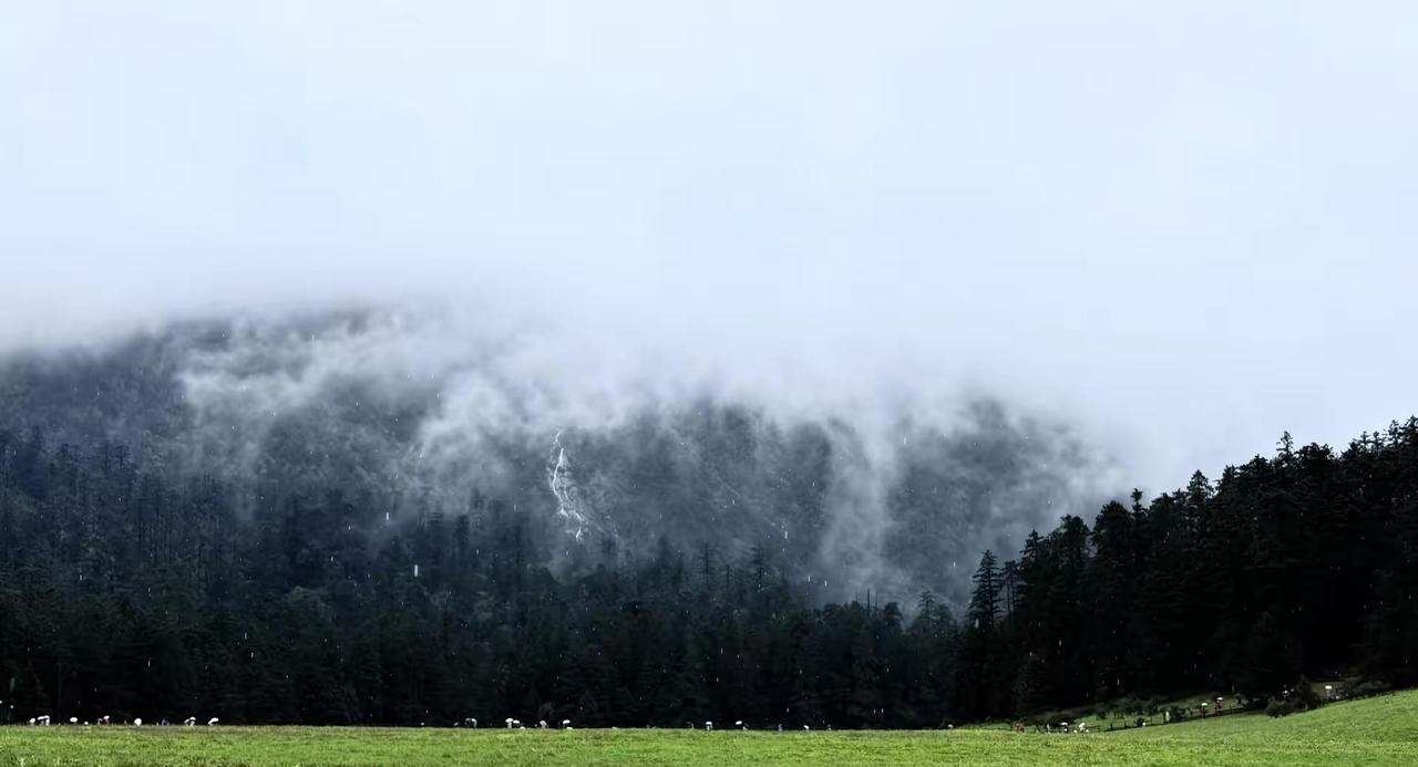 先生啊，我大抵是病了，竟然在自己的同胞身上看见了ri寇的影子，所有的痕迹都在被慢