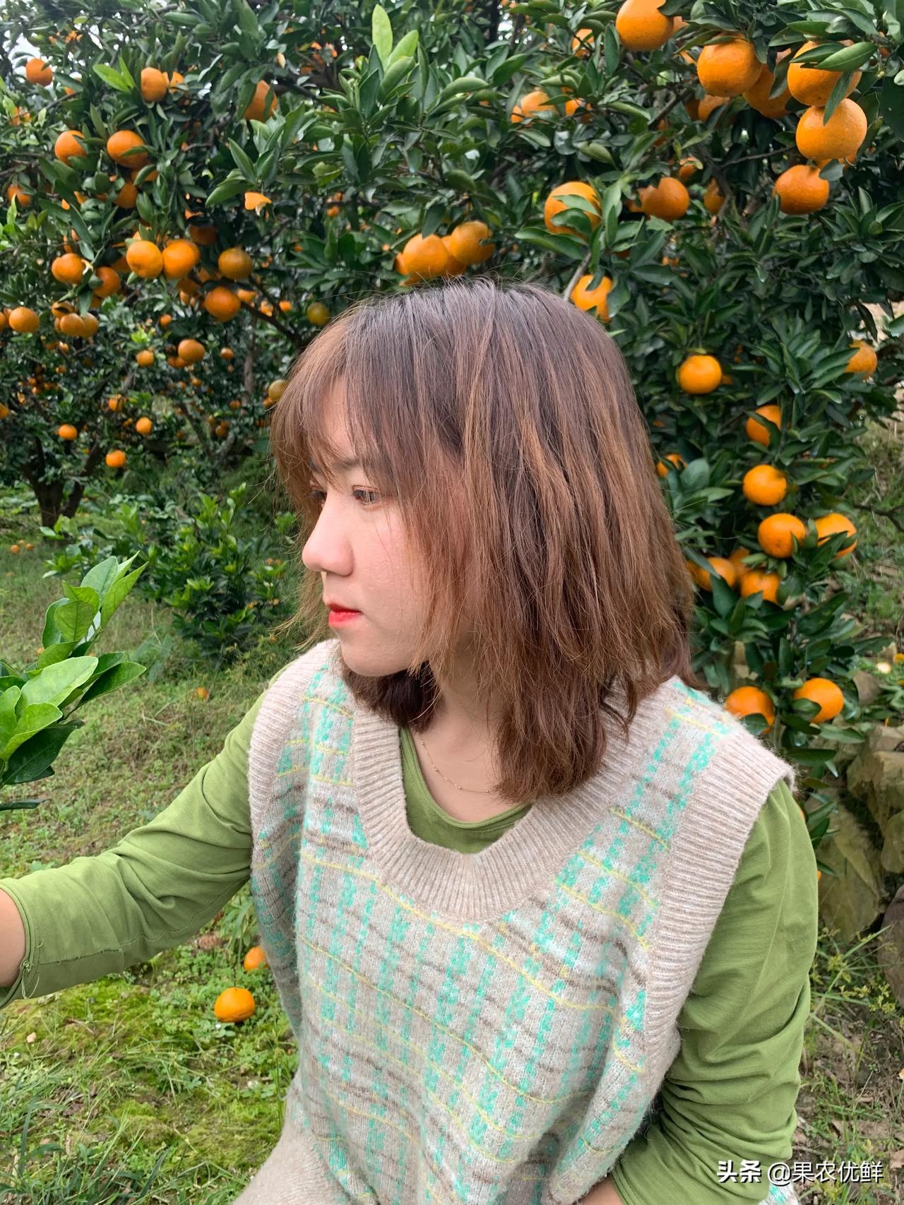 常德石门山沟沟里藏着的美食“石门蜜桔”！

10月，是石门蜜桔初上市的季节
桔皮