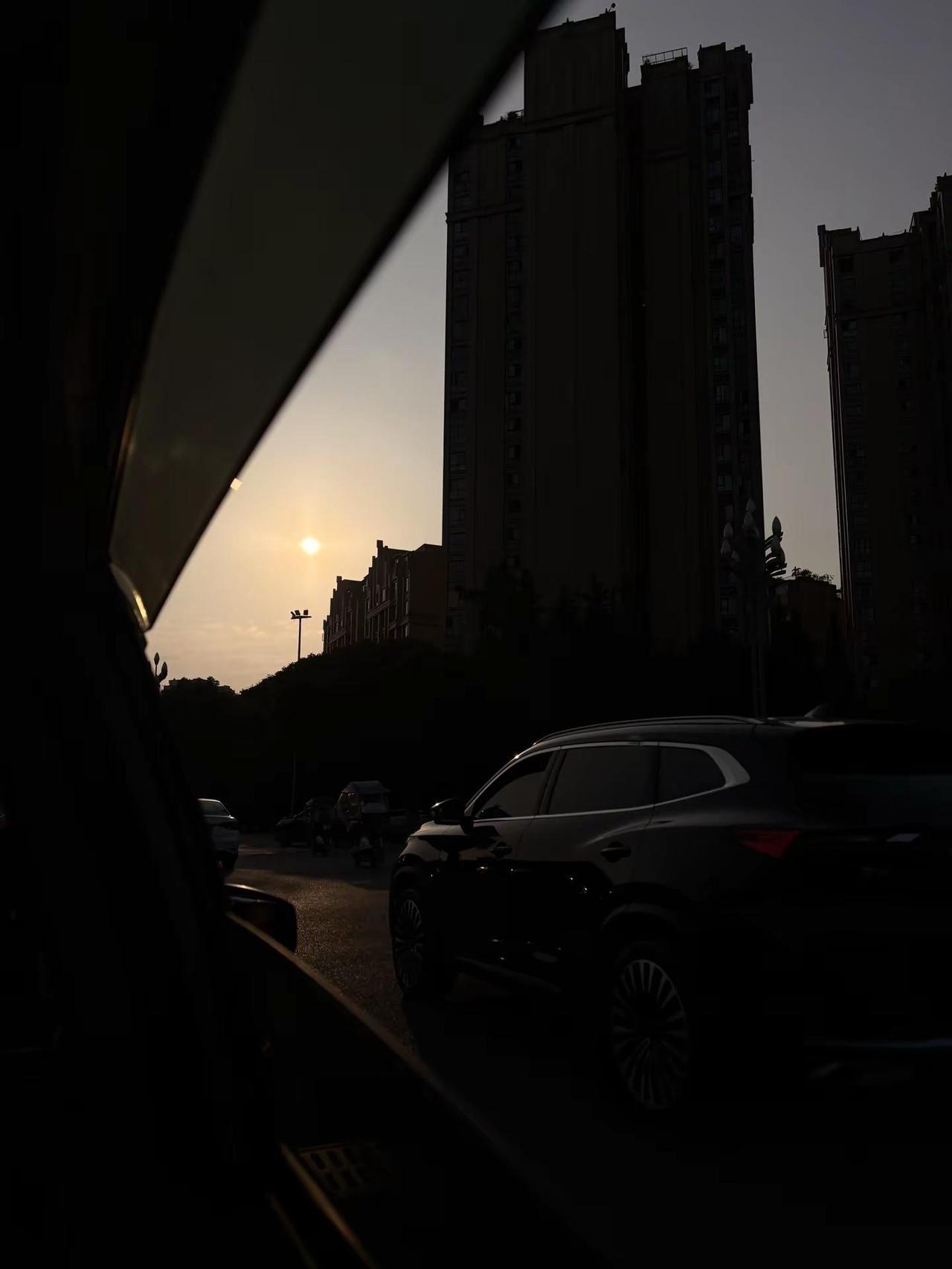 几许落幕残花