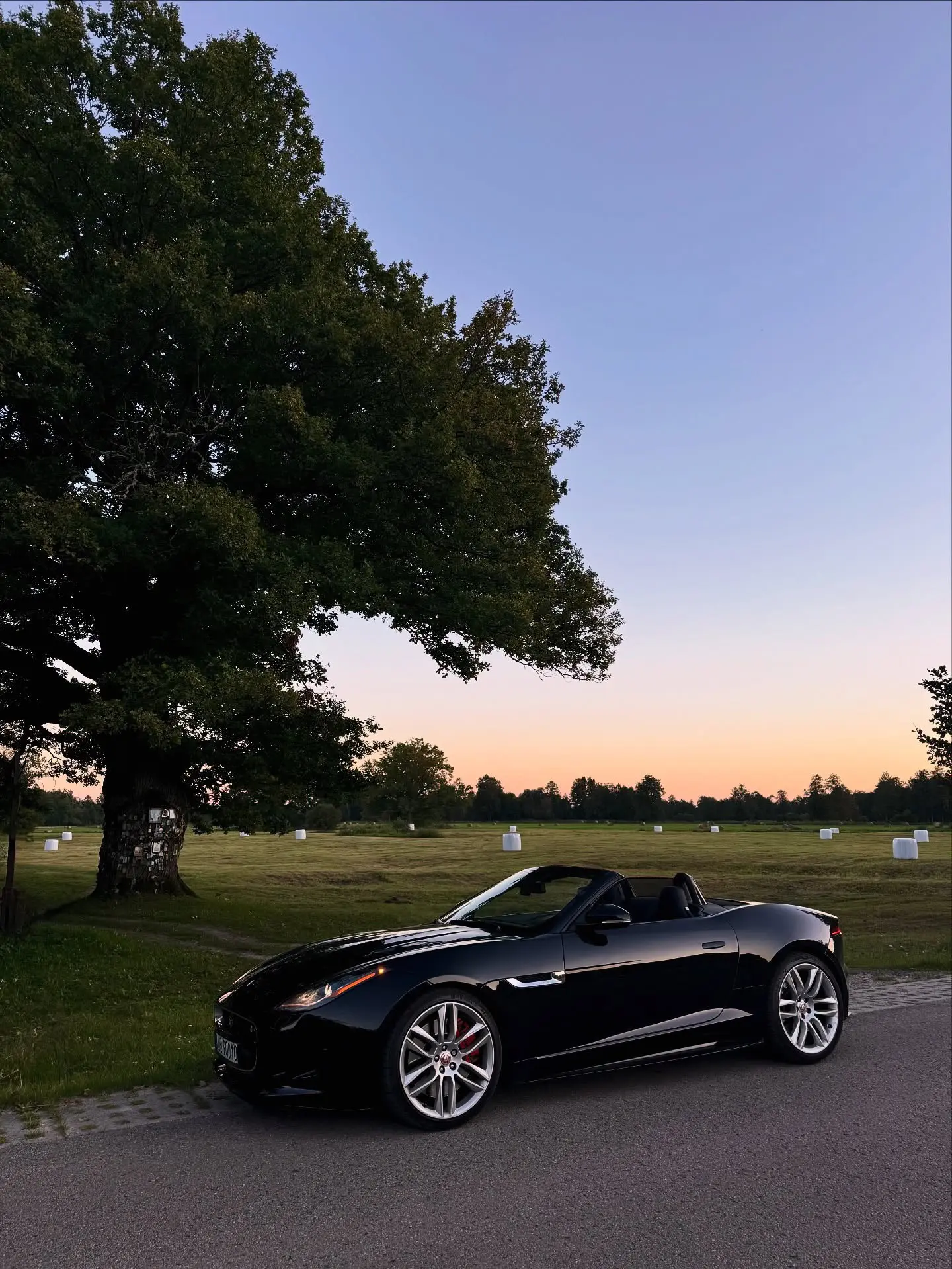 Jaguar F-type。  🚗