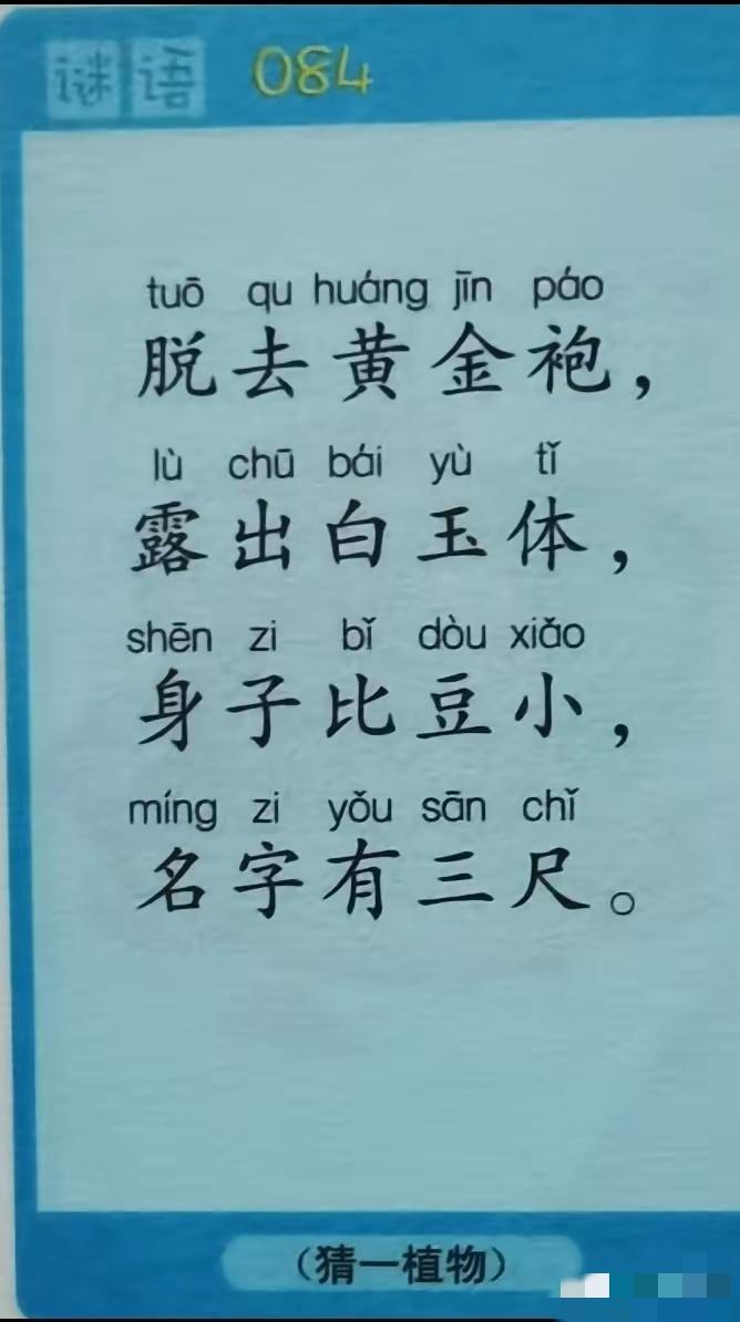 大家猜猜这个谜语？