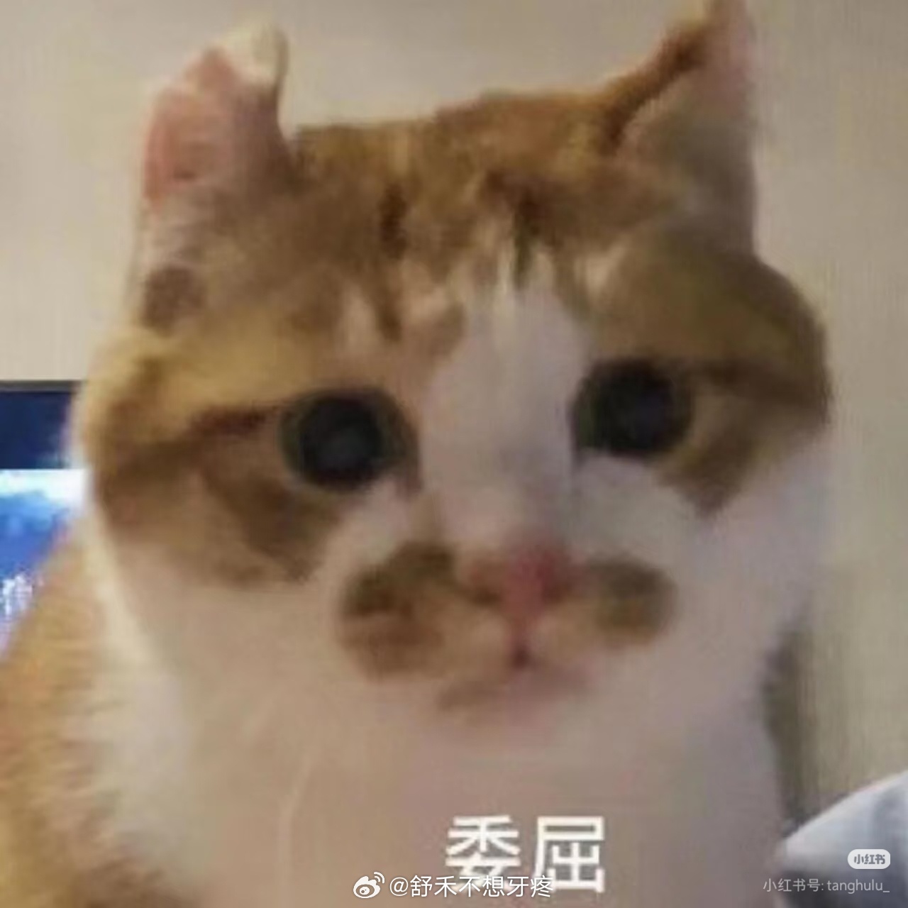 陆沉光与夜之恋 周末跟此男出去一起玩。虽然并不清楚为什么去哪里他都要给你打遮阳伞