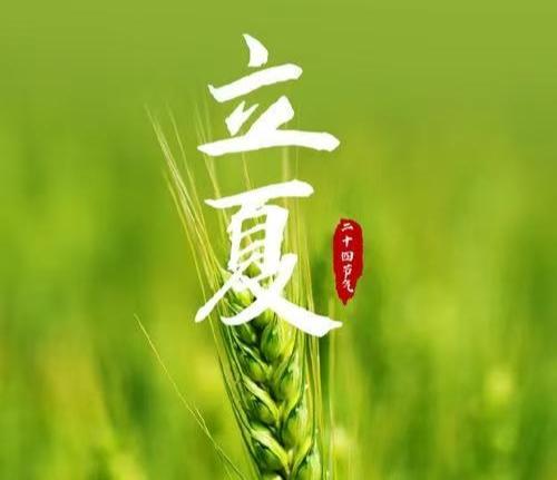 七绝.今日立夏
 文/阳翟山人
           一
薰风吹麦千重浪，
榴火