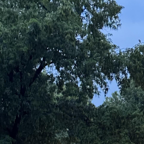 每日一善[超话]   ☀️极好较好[心]不壁垒的🉑🐏铁☀️瓶论区[心]互瓶指