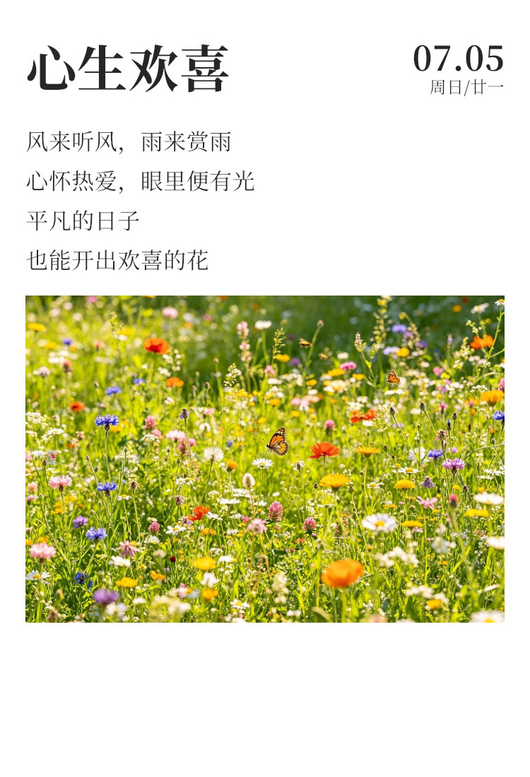 早安  🌧️每日早起打卡 要活成两种样子，发光和不发光。不发光的时候，都是在为