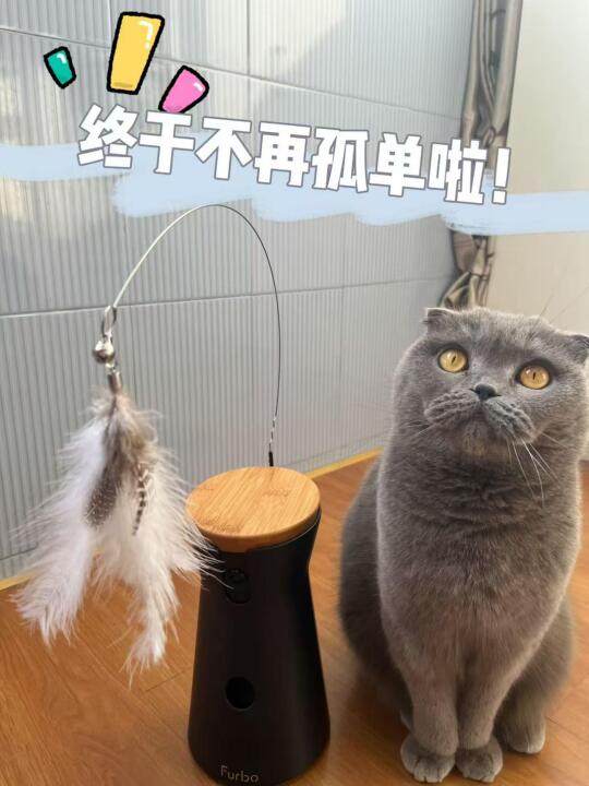 养猫人必备！会丢零食的摄像机让猫咪彻底爱