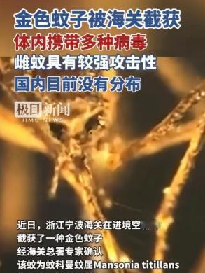 又是美国，又是病毒，这次不是实验室，是一整船“带毒蚊子”直接开到中国宁波！
 