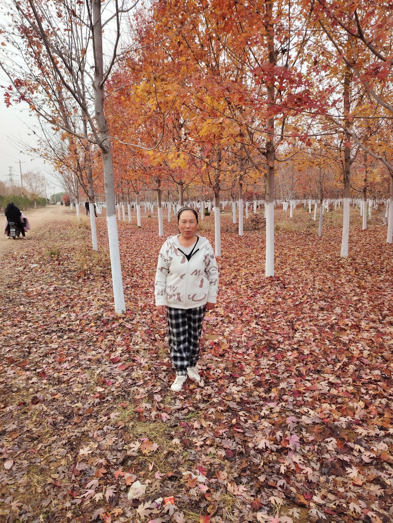 星光随笔人生就好比太阳，一出生就好比太阳刚刚从东方升起，太阳升到中午的时候就好比