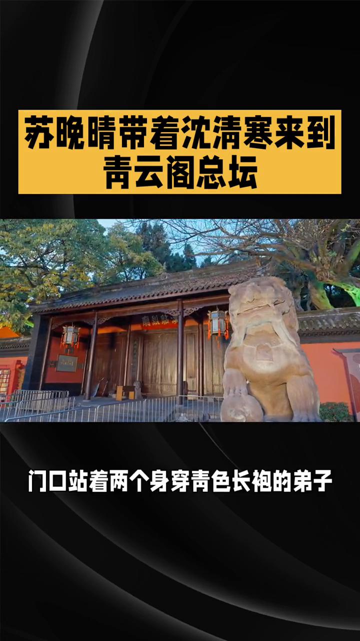 苏晚晴带着沈清寒来到青云阁总坛。
两人沿着青云山的石阶一步步朝着山顶走去，石阶蜿