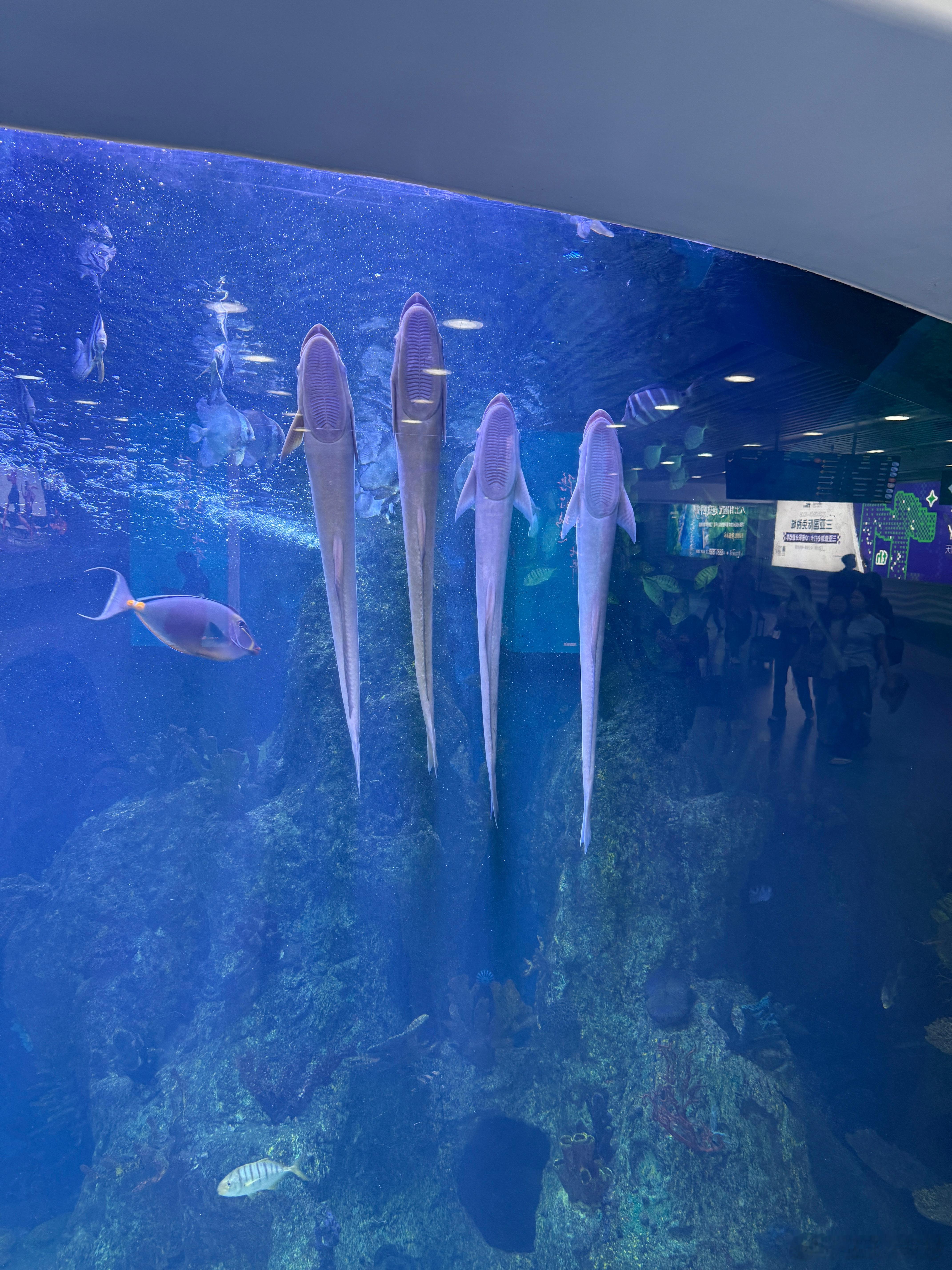 虽然我已经到家了，但是刚才翻相册看到，前两天落地三亚机场拍的照片真的好好笑[笑c