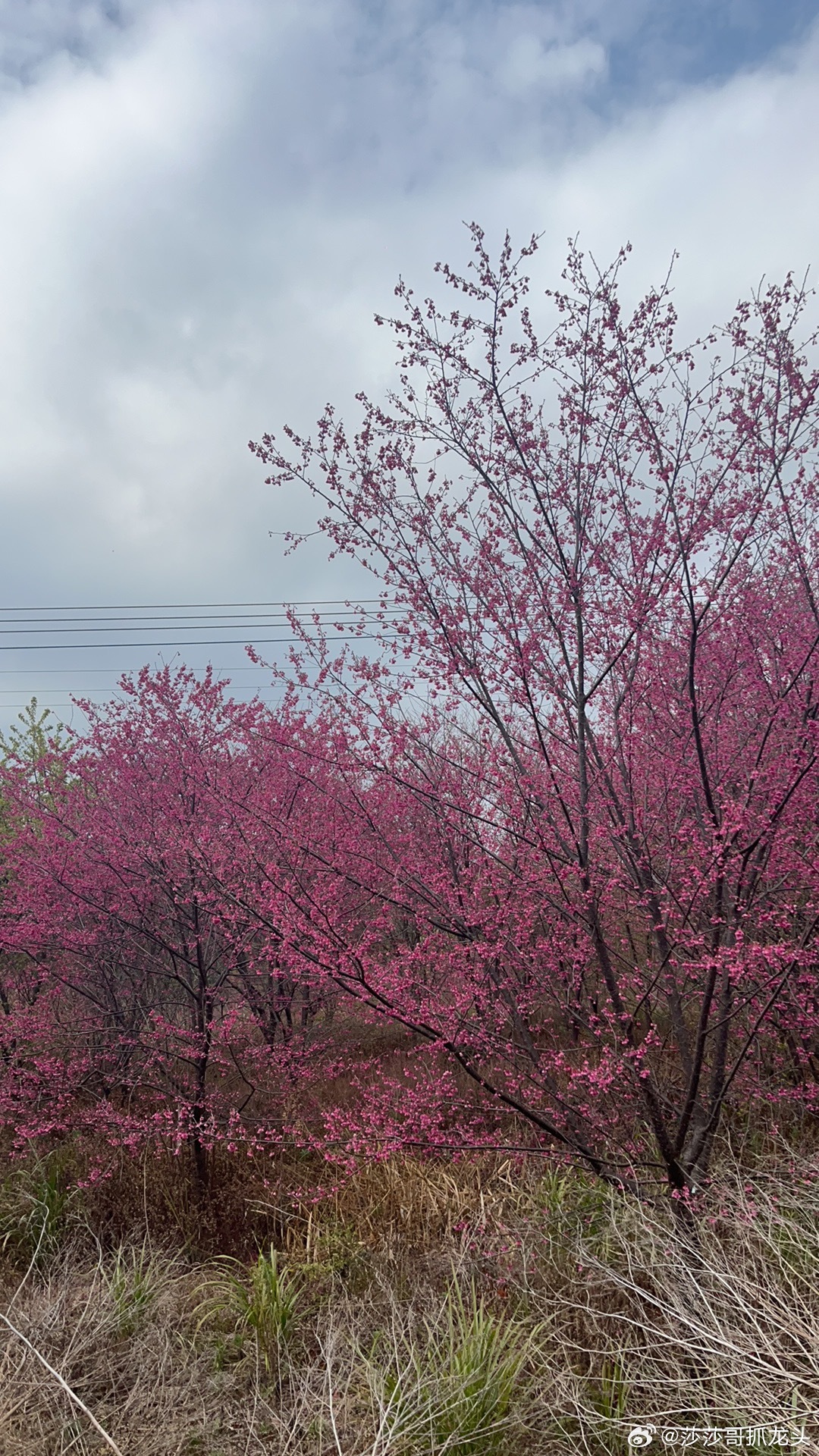 涨停封死！长飞光纤获资金大举涌入，光通信龙头迎来全线爆发今天光通信板块全线走强，