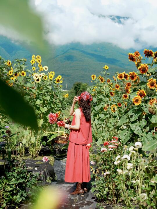 住在大理🌻🌻鲜花农场的日子