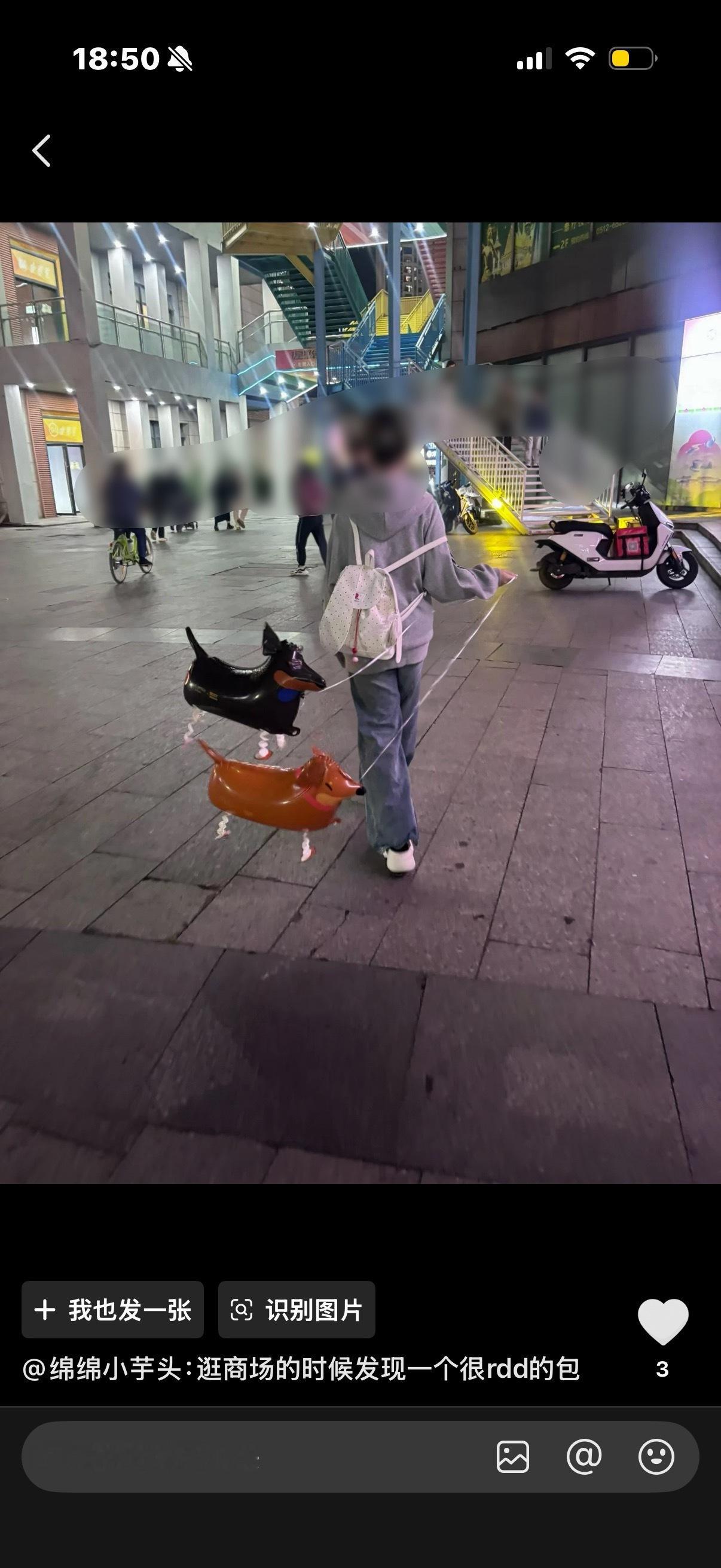 谁懂拿着两个狗的好笑程度 