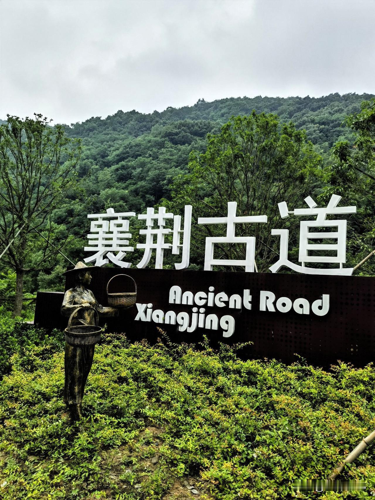 打卡荆门第四站：襄荆古道 

出圣境山沿古道一路北行，过栗溪、抵仙居，脚下这条柏