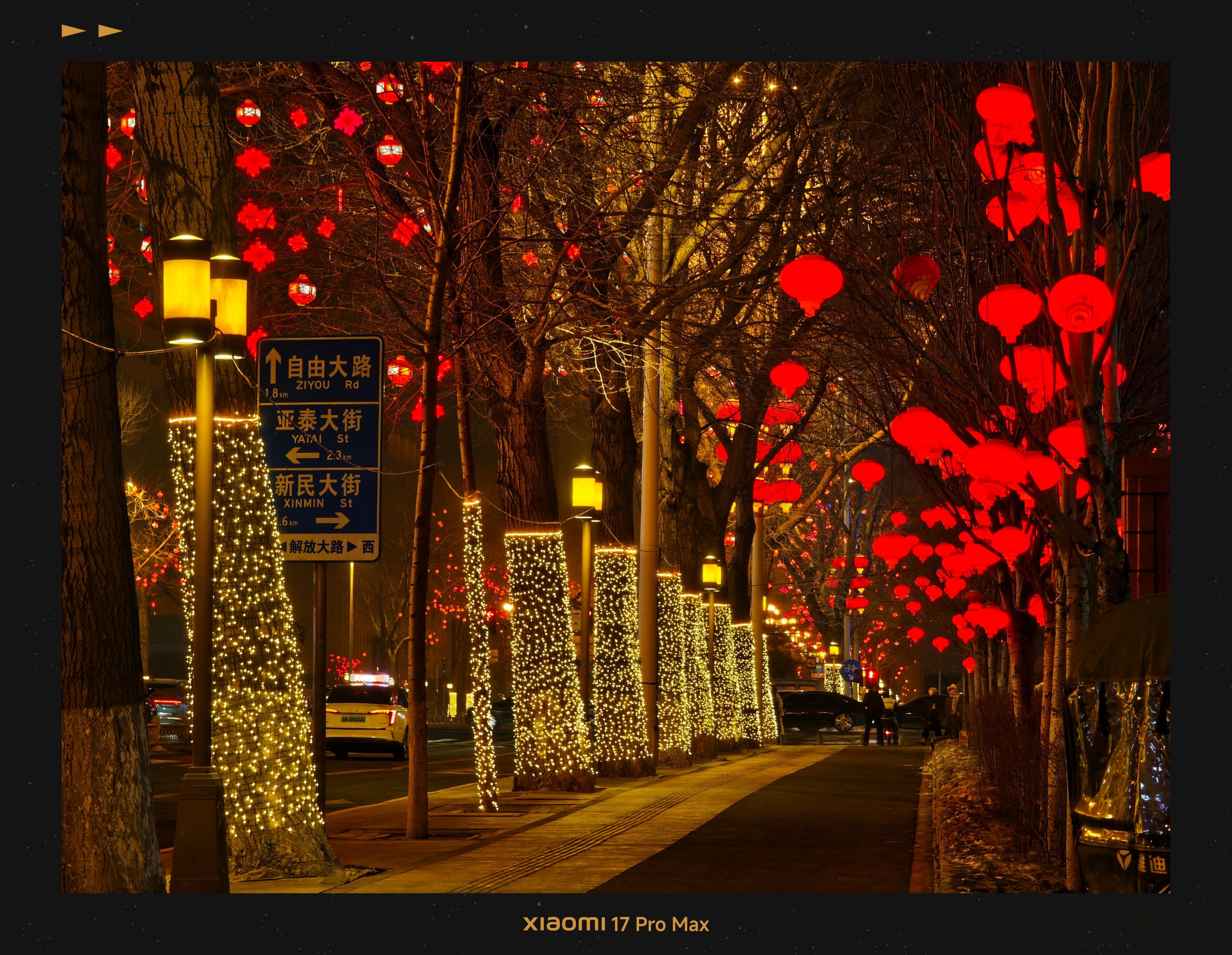 年年岁岁花相似，岁岁年年人不同 长春