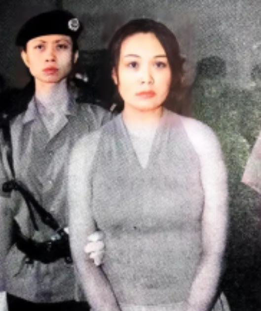 1999年，警方捣毁了位于北京亚运村“七号别墅”的特大“窝点”。组织者的身份被曝