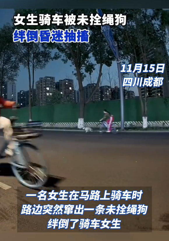 【揪心！】 11月15日，四川成都，一名女生在马路上骑车时，路边突然窜出一条未拴