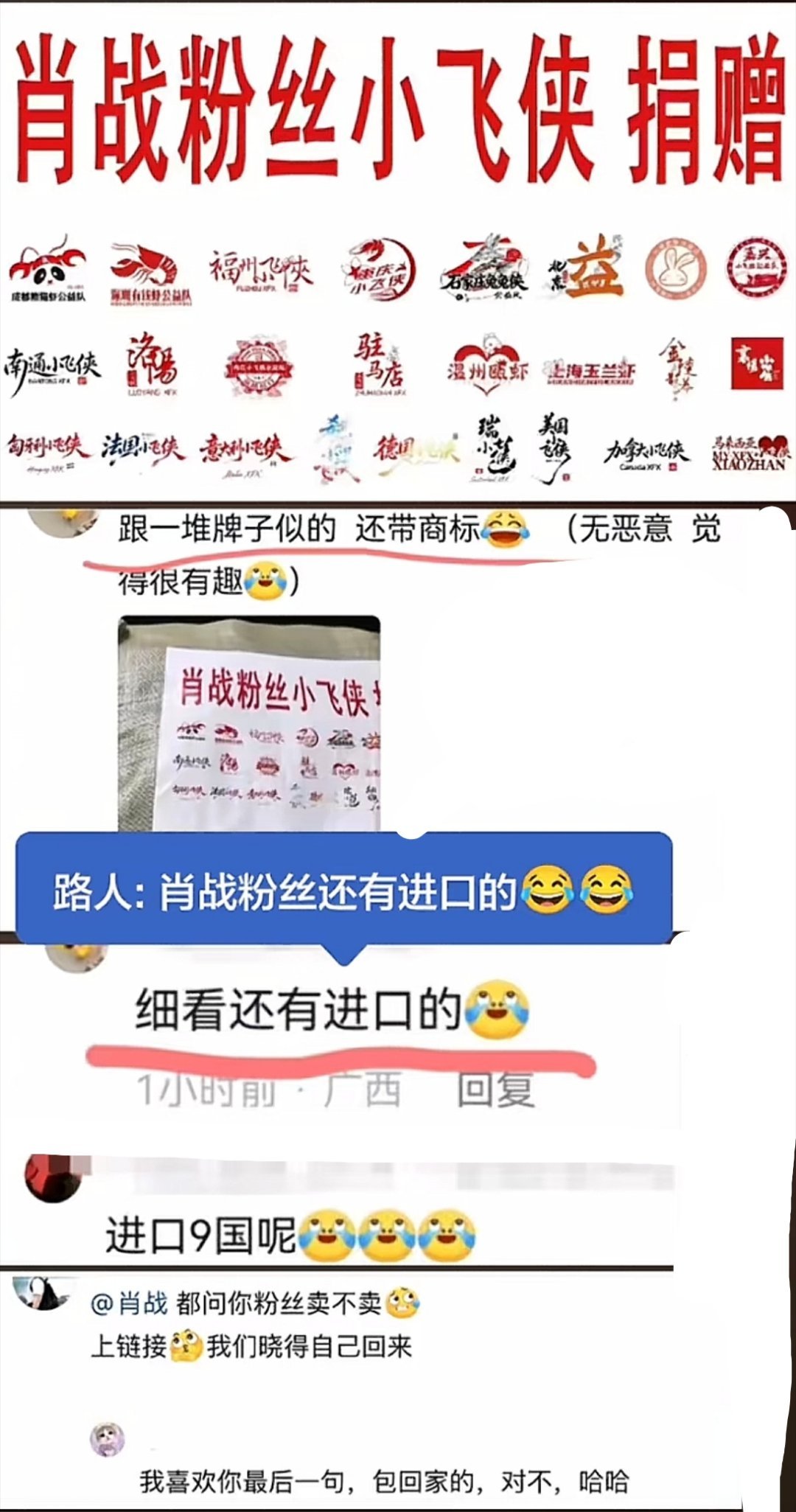 进口肖战粉丝小飞侠