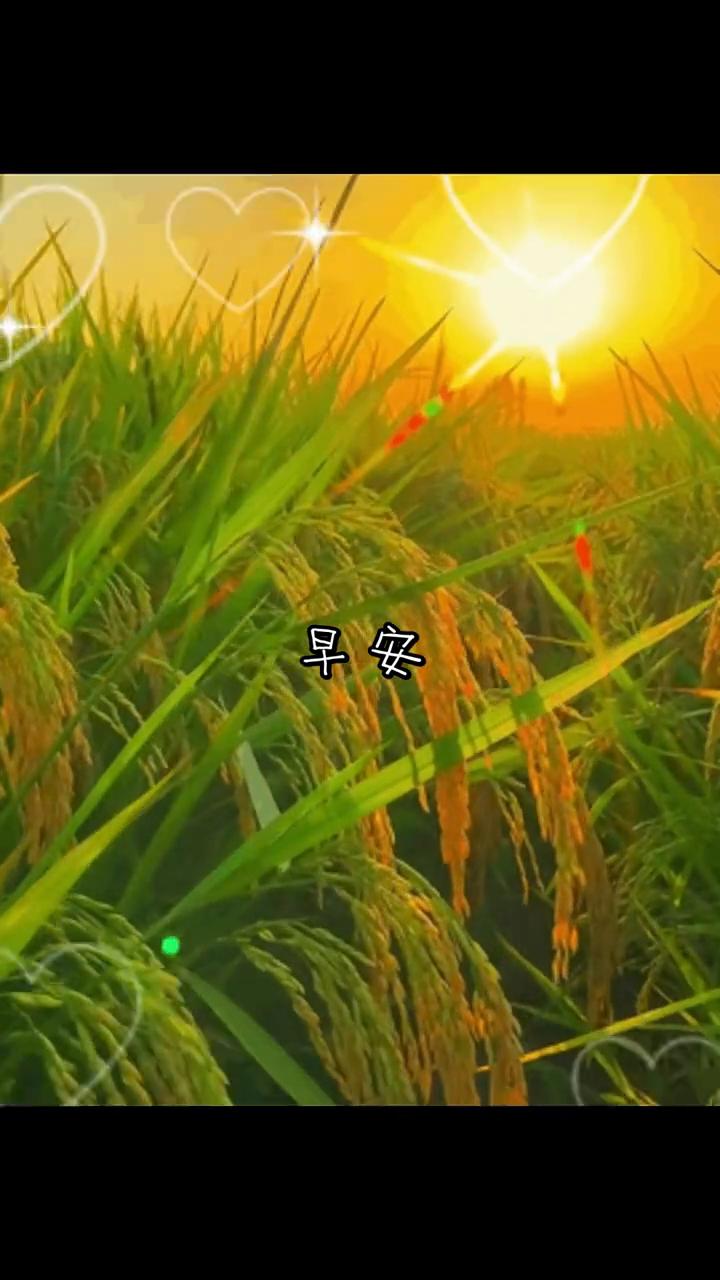 早安。