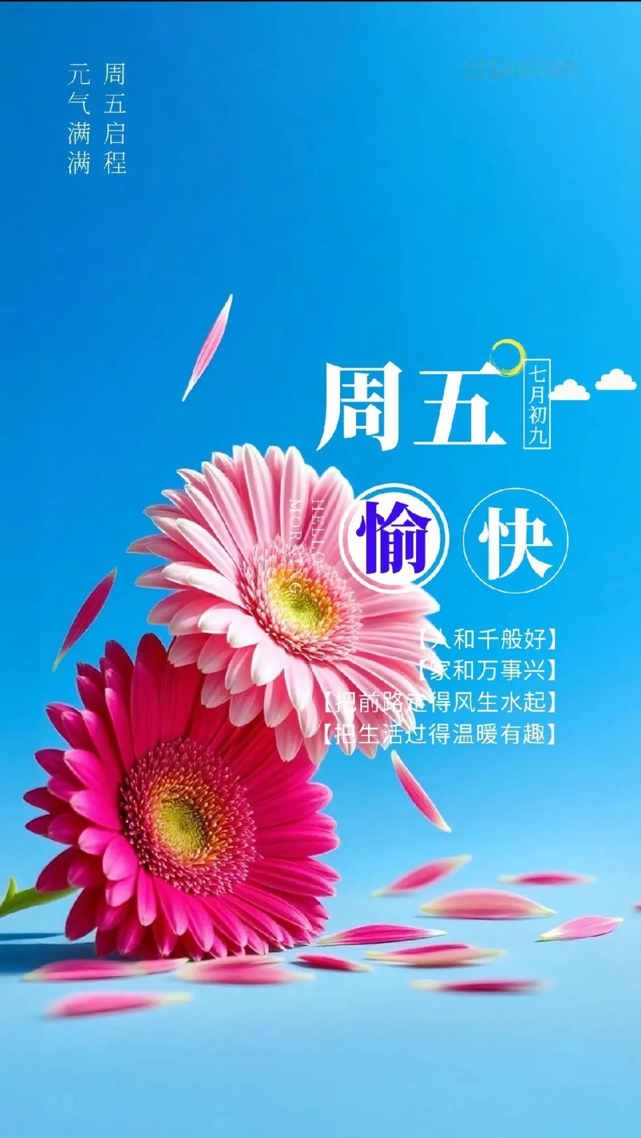 秋晨寄语，淡雅生活风，藏在四季的诗意。
2026./08.21.
[微风][玫瑰