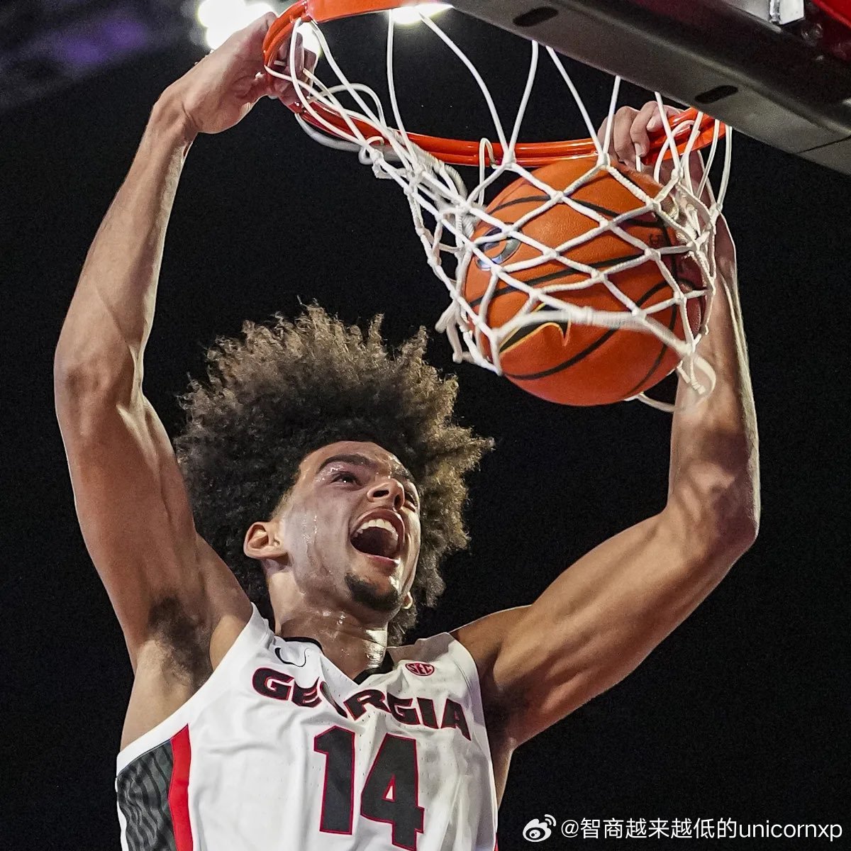 佐治亚大学自2011年以来首次进入全美Top25排名，今年这阵容和战绩配得上[赞