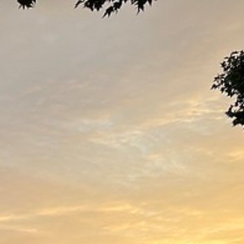养养 人这一生，大多时候都是独自赶路。沿途会遇到同行的人，也会不断和一些人挥手告