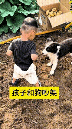 拍视频的大人，心特别的大，办事也特别的不靠谱，为了搞点流量，把孩子也豁出去了，这