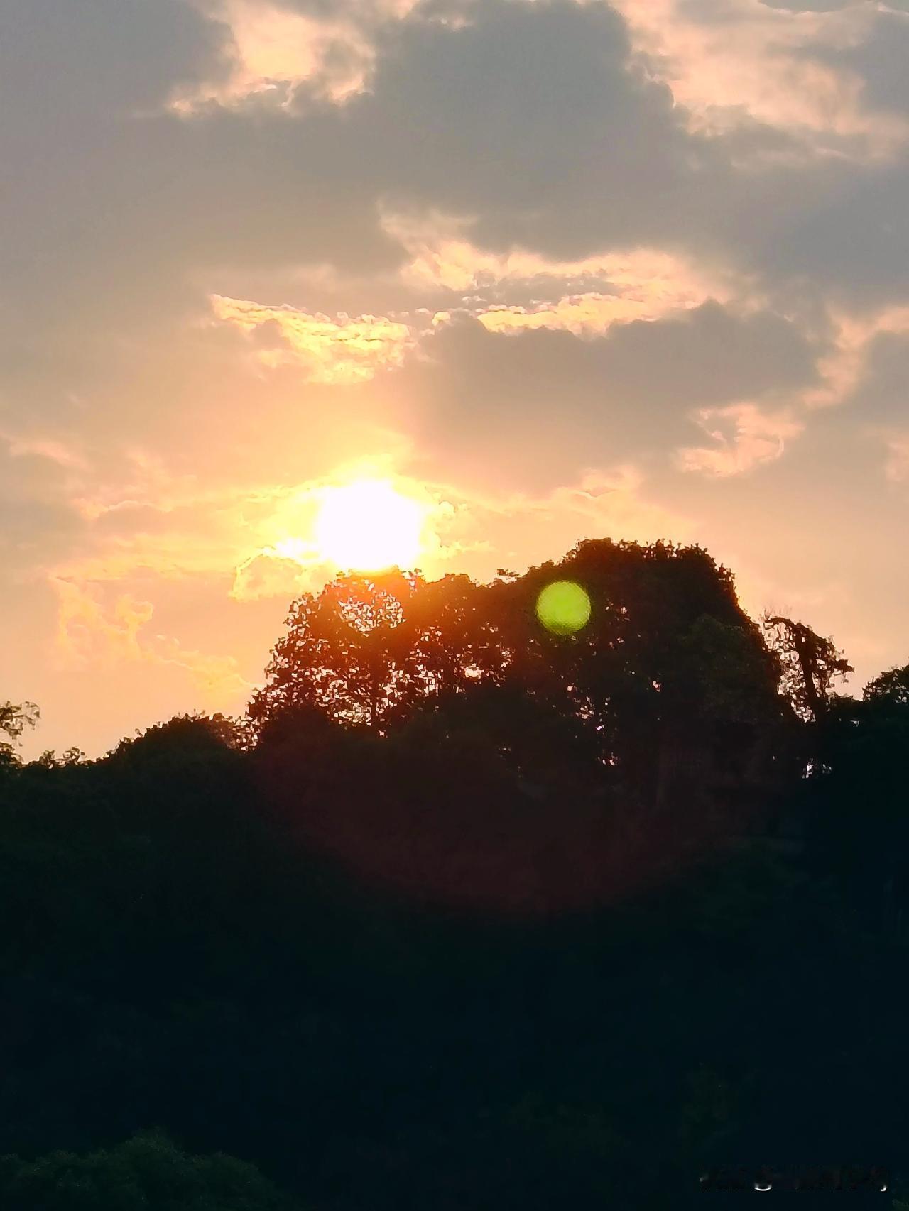 每日一图随手拍