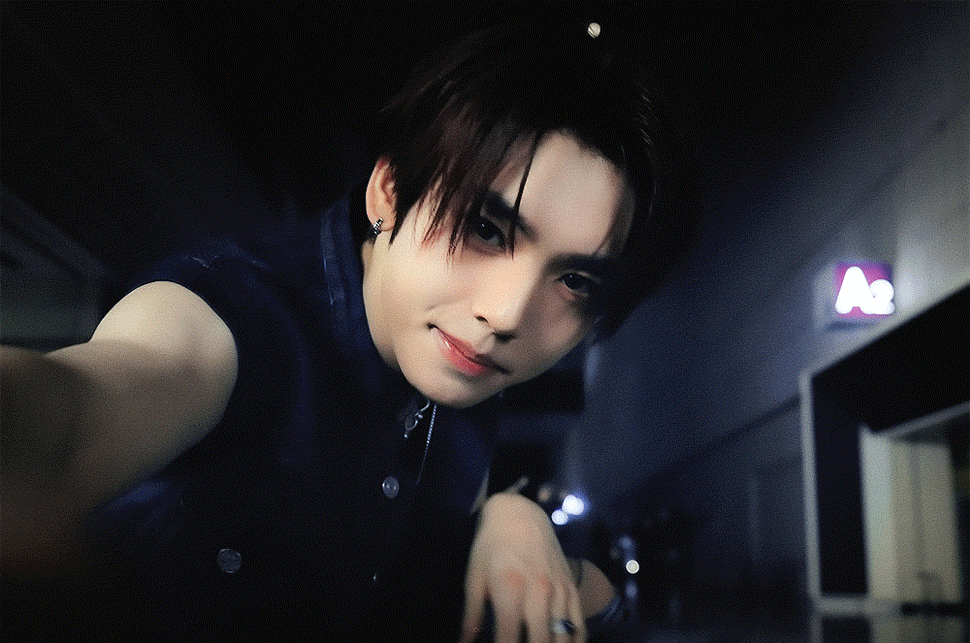 🐺 ©omyofor 