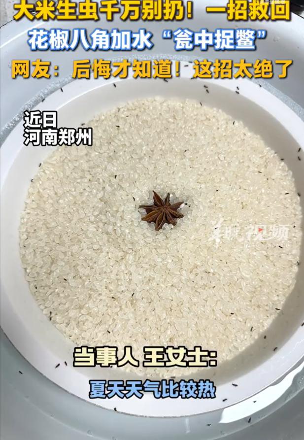 人怎么会这么聪明呢！9月10日报道，河南郑州一女子发现米缸生虫，但又不舍扔，灵机