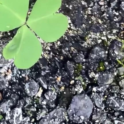 做人要宽容，心容千缺，受得起百污，这是你的修养；做人要善良，心存仁爱，行得起百善