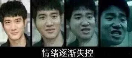 我要玩机 知道装机多难吗，精粤都开始玩老婆系列了，真卷呐…… 